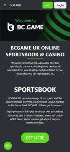 Unveiling the World of Bc.Game A Premier Online Gaming Platform